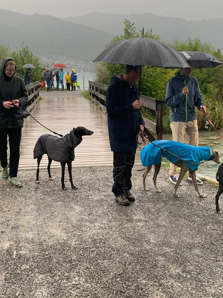 Leider keine Bildbeschreibung für gggw-schweiz-2021-1.jpg vorhanden.