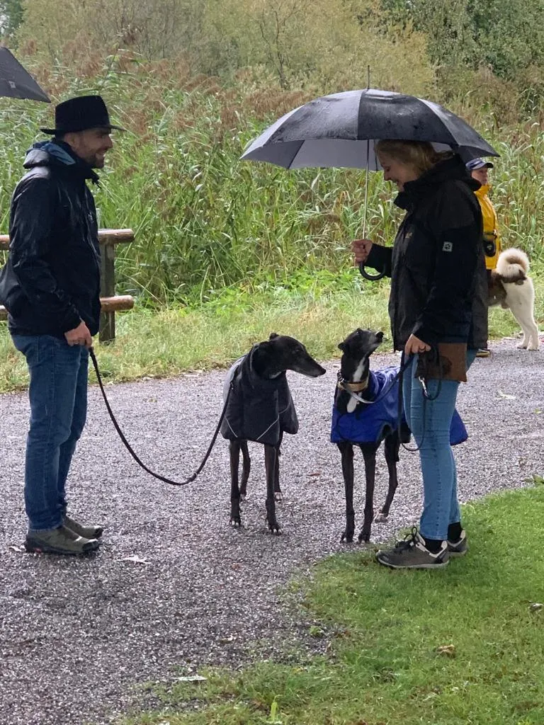 Leider keine Bildbeschreibung für gggw-schweiz-2021-4.jpg vorhanden.