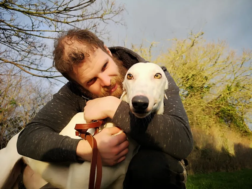 Greyhound Snow White