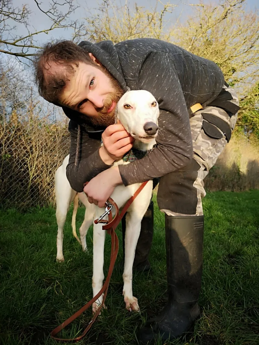 Greyhound Snow White