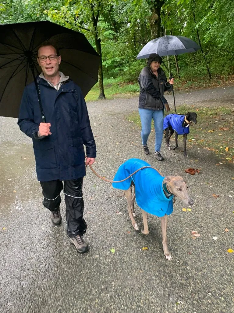 Leider keine Bildbeschreibung für gggw-schweiz-2021-2.jpg vorhanden.