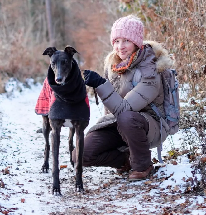 Greyhound Neues von Molly