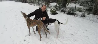 Greyhound Neues von Maggie