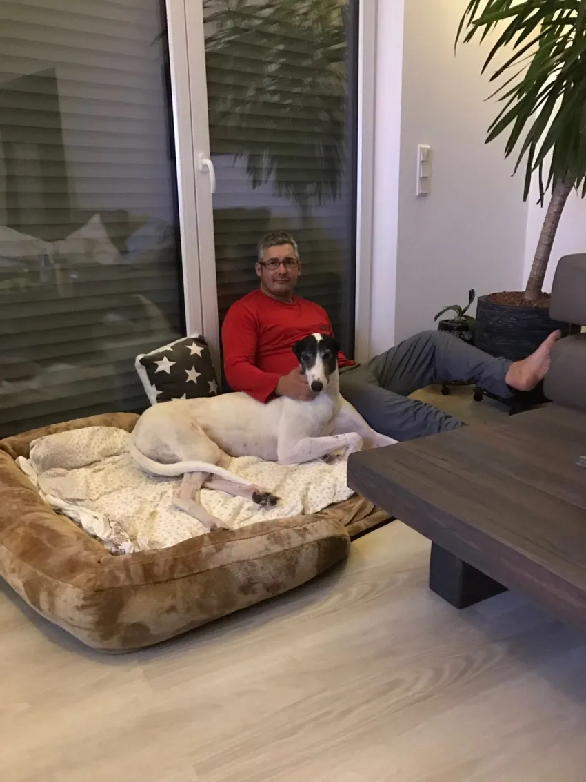 Greyhound Neues von Ozzy