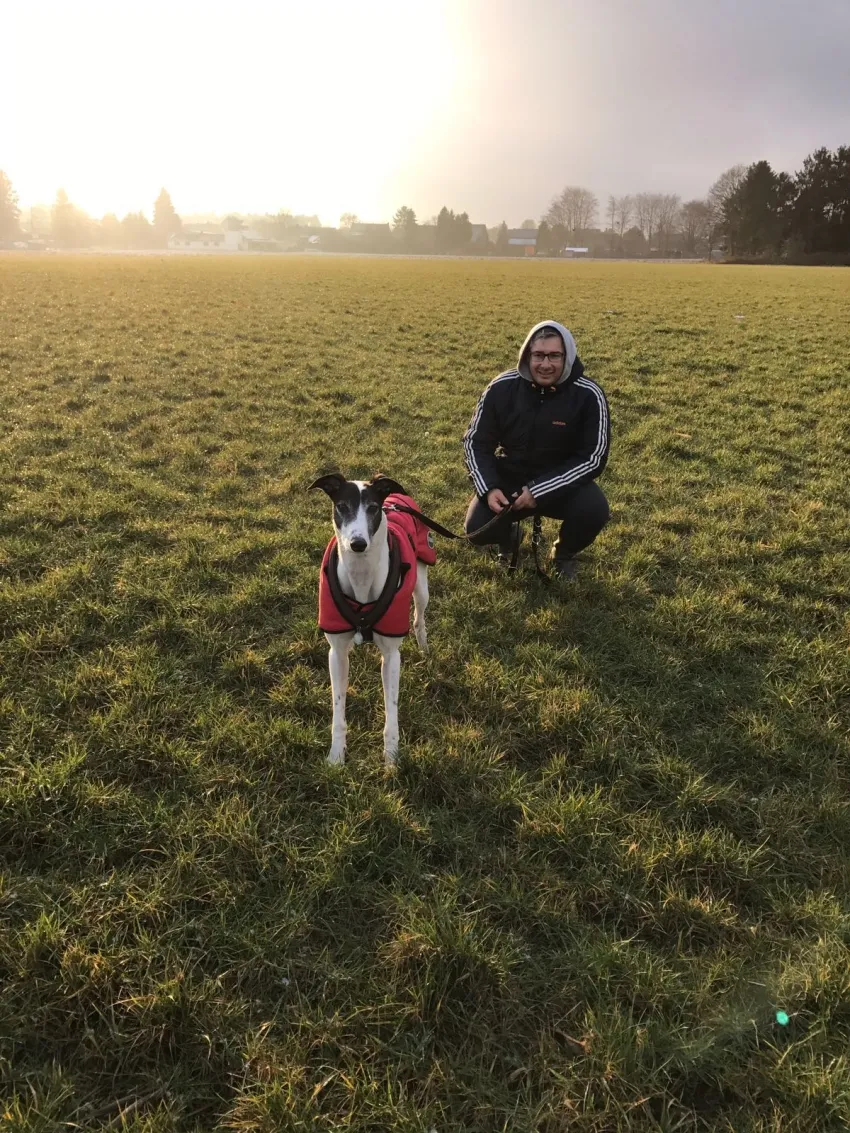 Greyhound Neues von Ozzy