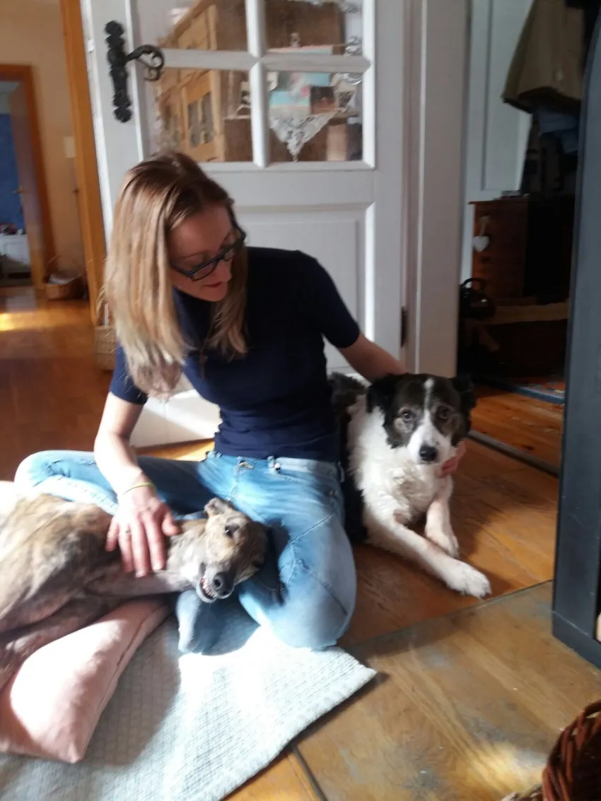 Greyhound Neues von Fred