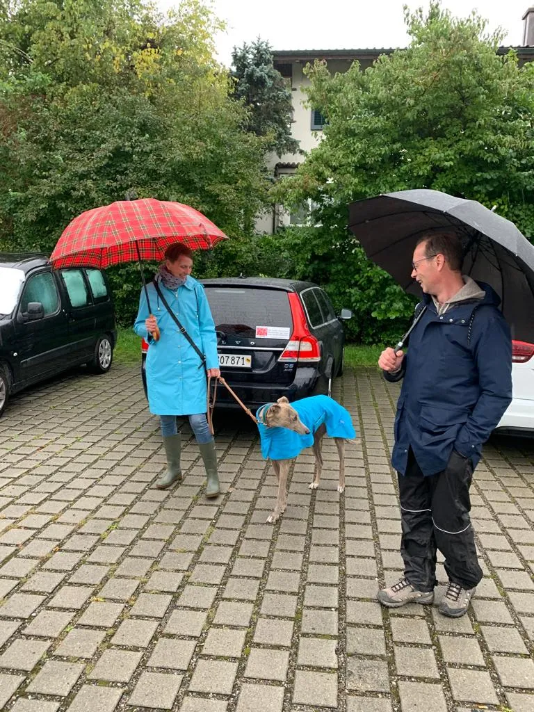 Leider keine Bildbeschreibung für gggw-schweiz-2021-3.jpg vorhanden.