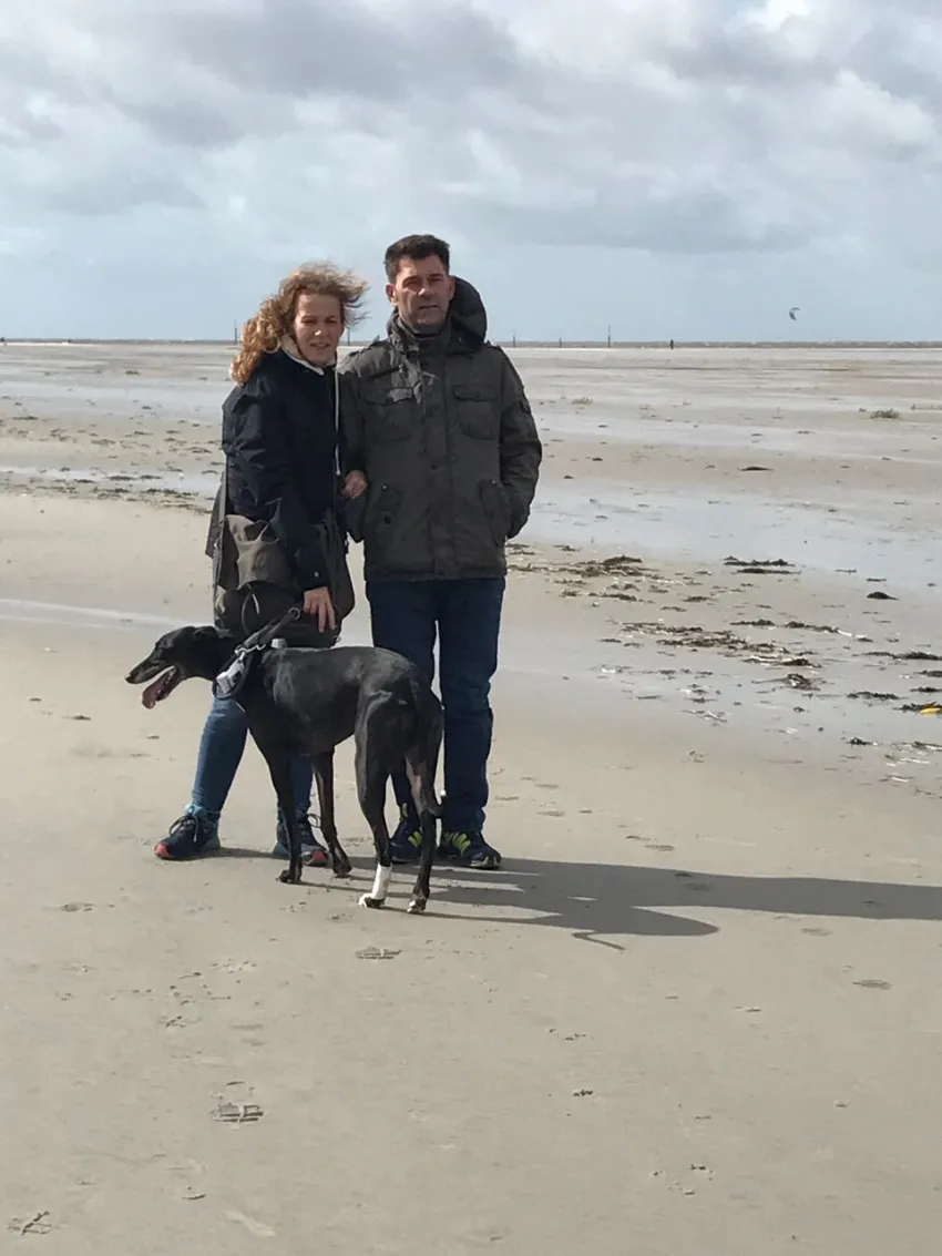 Greyhound Neues von Kaylee