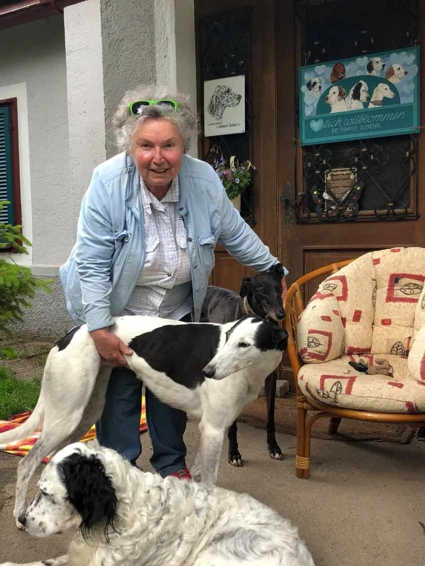 Greyhound Neues von Hope