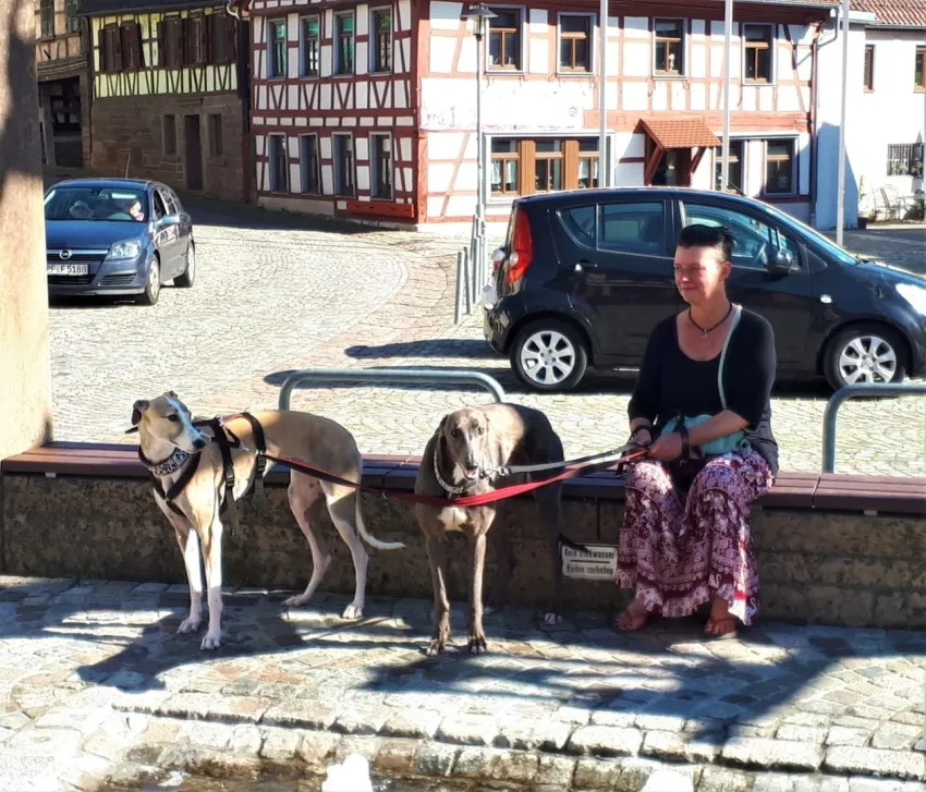 Greyhound Neues von Delta/Cleo und Len