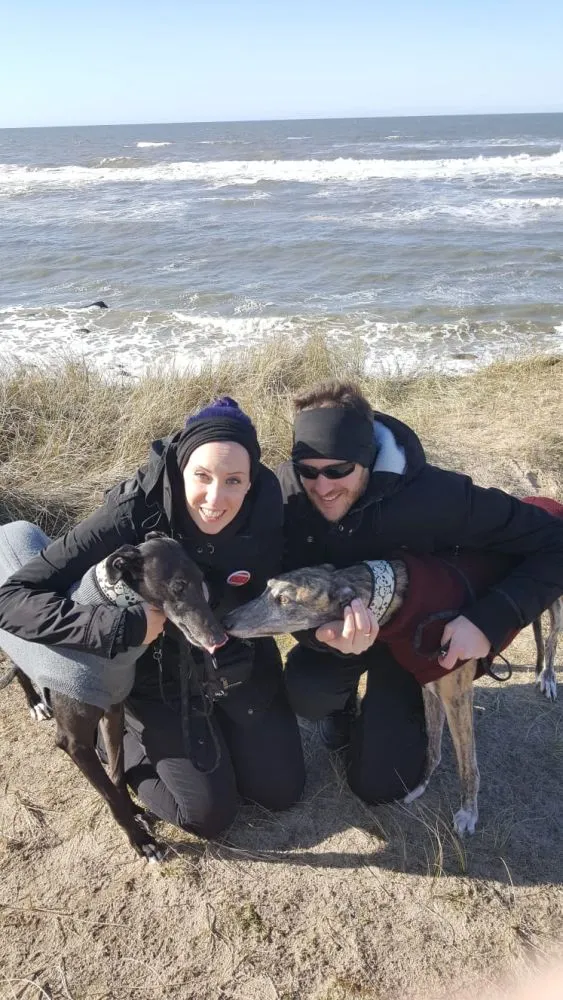 Greyhound Neues von Abby und Shadow
