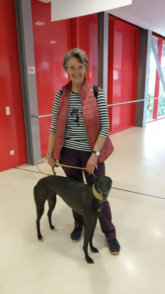 Greyhound Neues von Lady