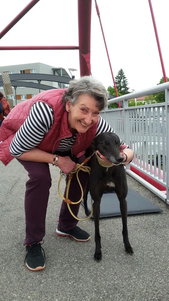 Greyhound Neues von Lady