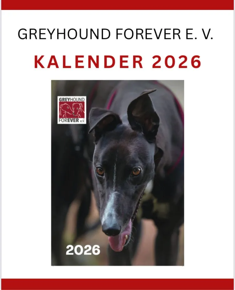 Leider keine Bildbeschreibung für whatsapp-image-2025-09-30-at-16.04.39.jpeg vorhanden.