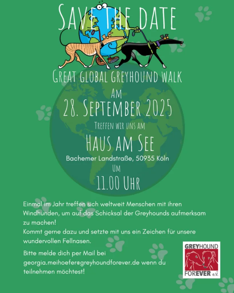 Leider keine Bildbeschreibung für image-8-819x1024.png vorhanden.