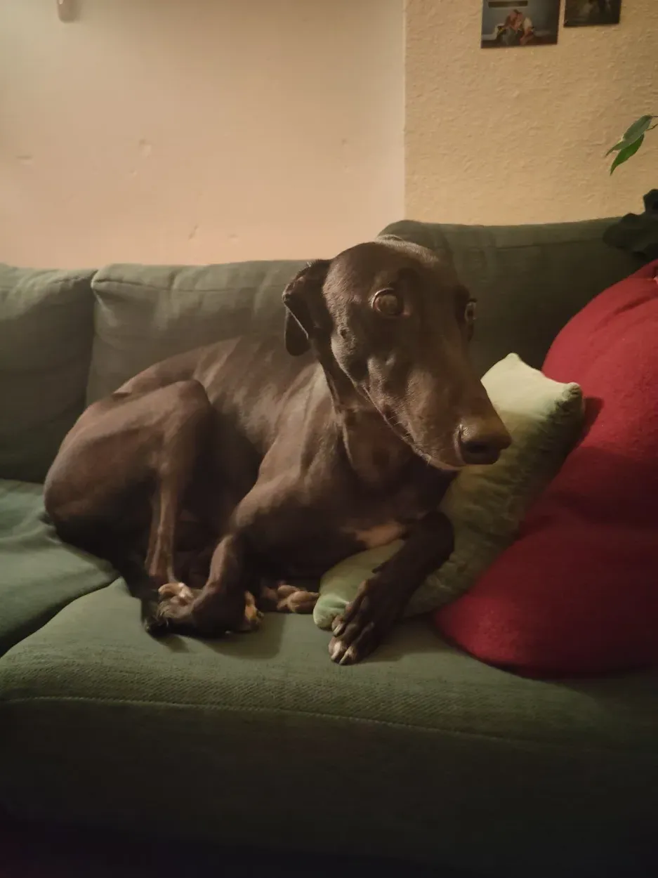 Leider keine Bildbeschreibung für fotos_billy (4).jpg vorhanden.