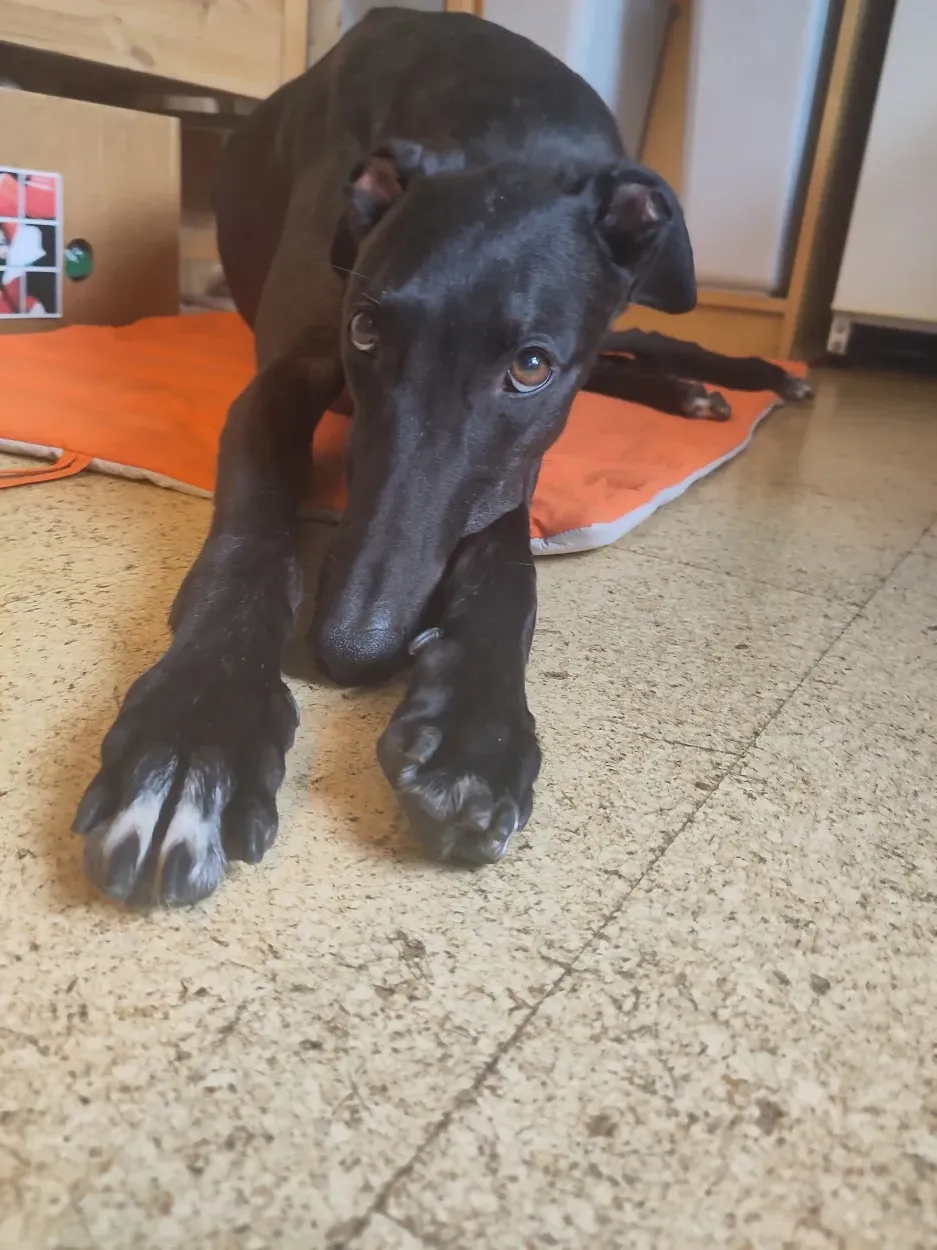 Leider keine Bildbeschreibung für fotos_billy (7).jpg vorhanden.
