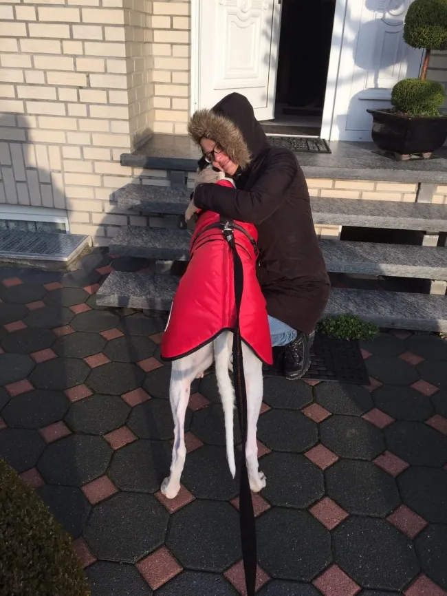 Greyhound Neues von Ozzy