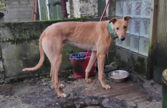 Leider keine Bildbeschreibung für 202602_smog01.png vorhanden.