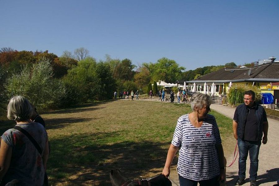 015-Decksteiner_Weiher_02092018 - 016_Web.jpg.medium_web2
