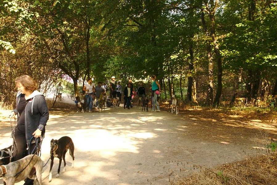 017-Decksteiner_Weiher_02092018 - 018_Web.jpg.medium_web2