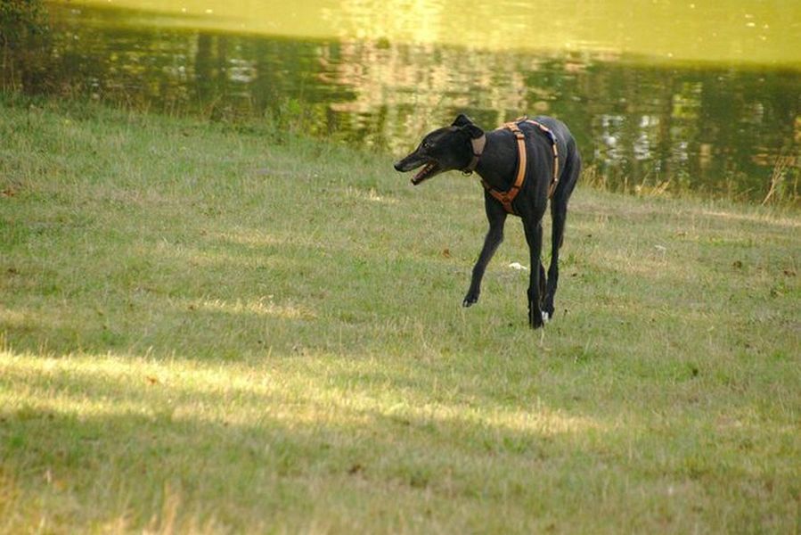 019-Decksteiner_Weiher_02092018 - 020_Web.jpg.medium_web2