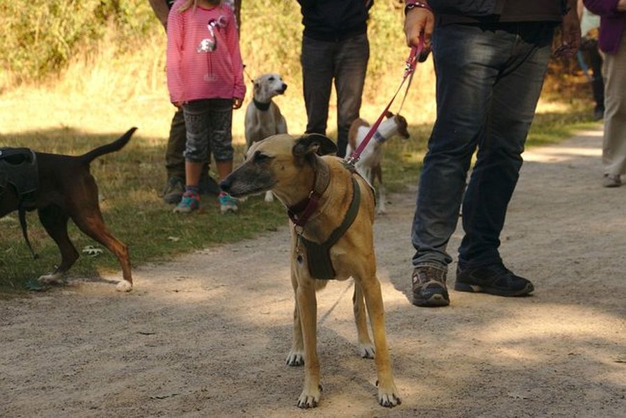 022-Decksteiner_Weiher_02092018 - 023_Web.jpg.medium_web2