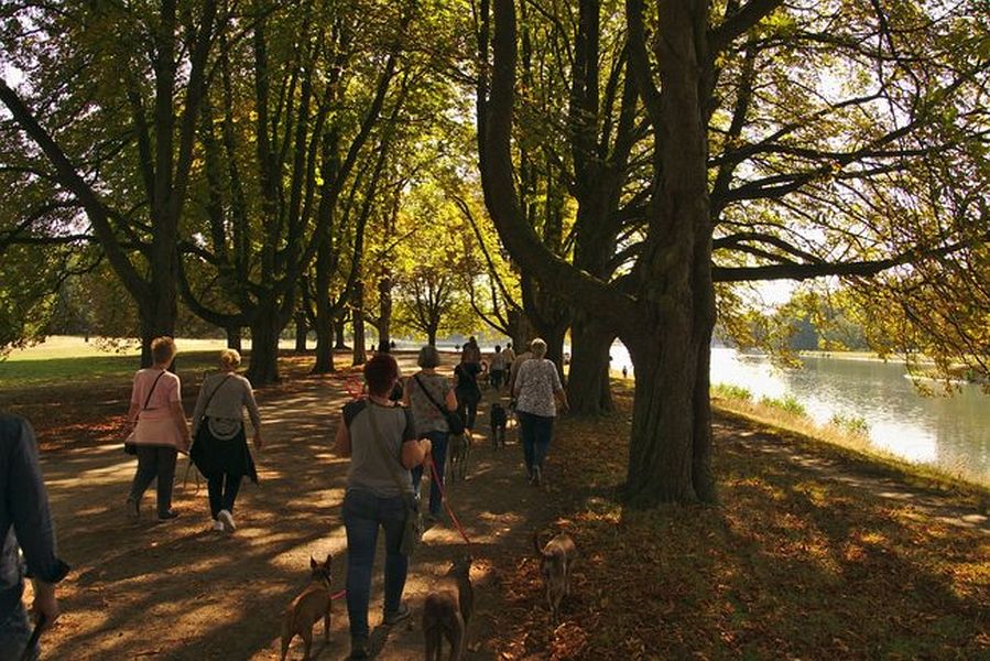 034-Decksteiner_Weiher_02092018 - 035_Web.jpg.medium_web2