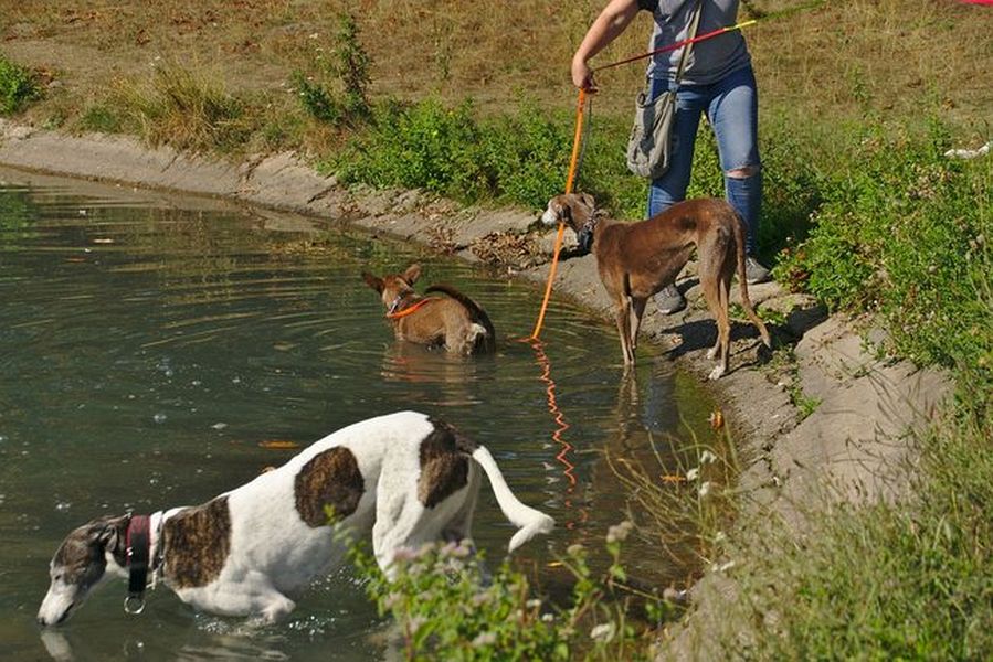 036-Decksteiner_Weiher_02092018 - 037_Web.jpg.medium_web2