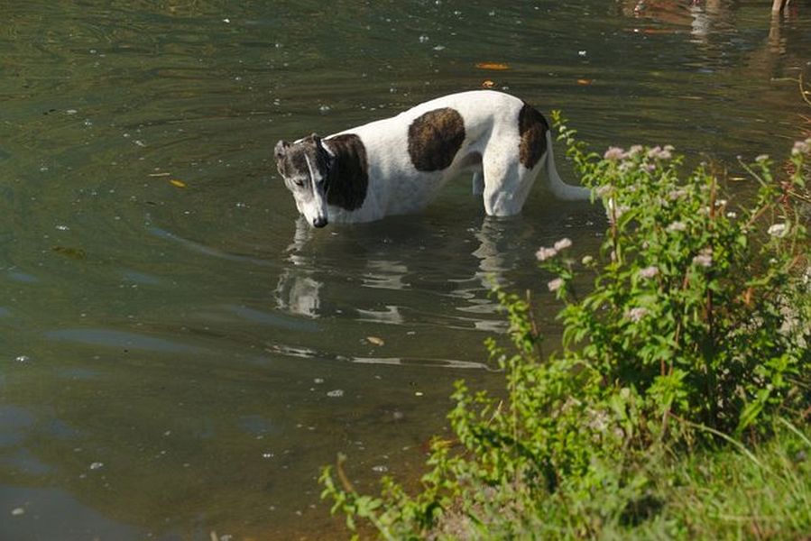 037-Decksteiner_Weiher_02092018 - 038_Web.jpg.medium_web2