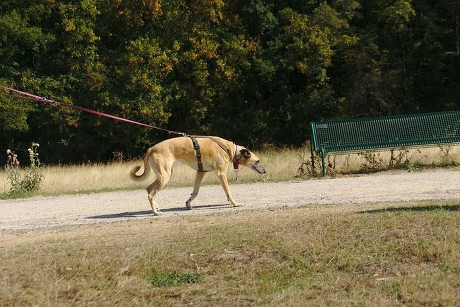 043-Decksteiner_Weiher_02092018 - 044_Web.jpg.medium_web2