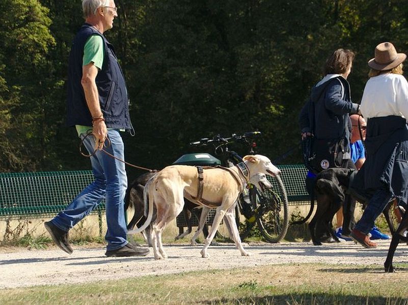 051-Decksteiner_Weiher_02092018 - 052_Web.jpg.medium_web2