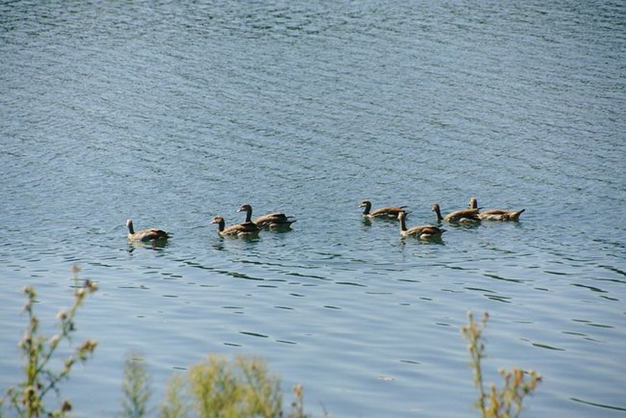 053-Decksteiner_Weiher_02092018 - 054_Web.jpg.medium_web2