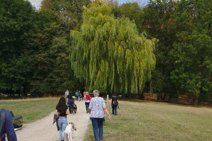 070-Decksteiner_Weiher_02092018 - 071_Web.jpg.medium_web2