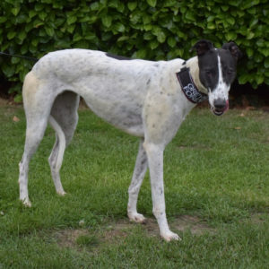 2019-03-09_Coldagh0004