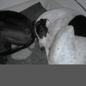 2019-03-09_Coldagh0007