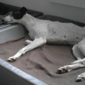 2019-03-09_Coldagh0011