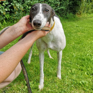 2019-03-09_Coldagh0016