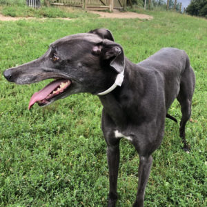 2019-05-18_Erin_Sophia0014