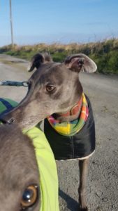 2019-05-18_Erin_Sophia0024