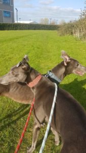 2019-05-18_Erin_Sophia0025