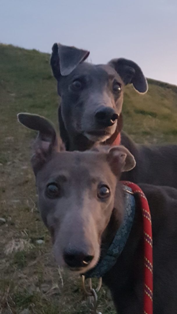 2019-05-18_Erin_Sophia0026