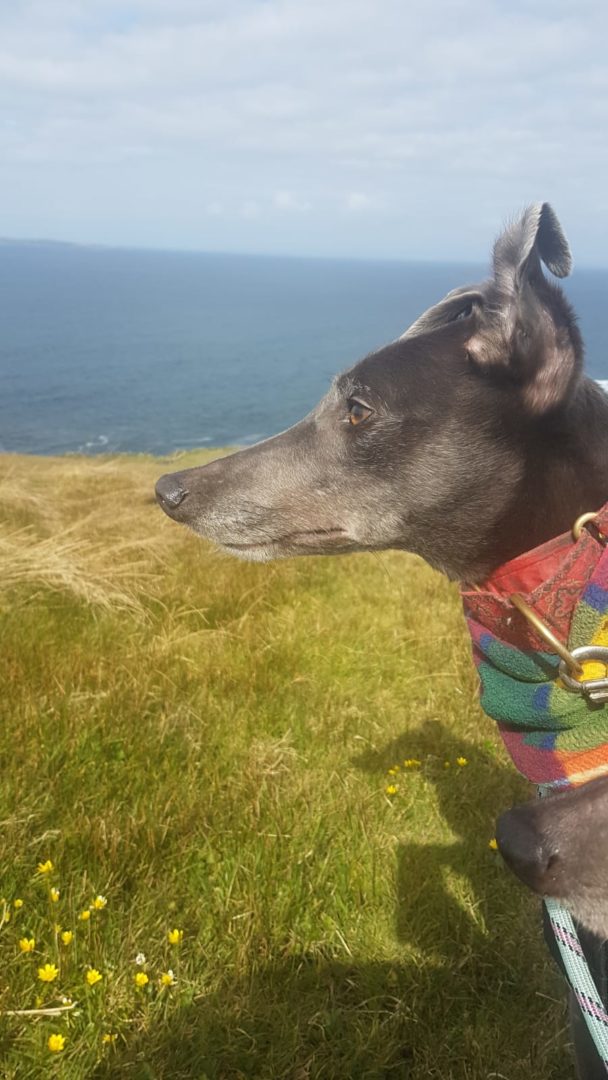 2019-05-18_Erin_Sophia0027