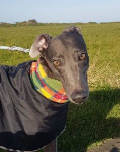 2019-05-18_Erin_Sophia0028