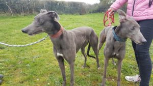 2019-05-18_Erin_Sophia0029