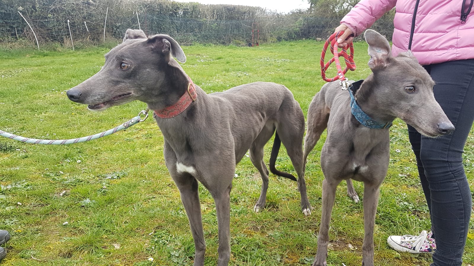 2019-05-18_Erin_Sophia0029