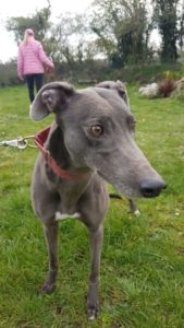 2019-05-18_Erin_Sophia0030