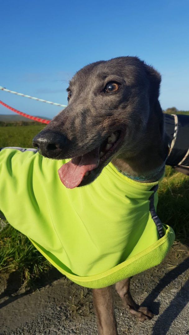 2019-05-18_Erin_Sophia0031