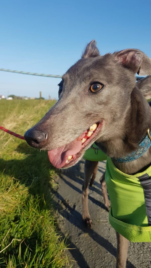 2019-05-18_Erin_Sophia0032