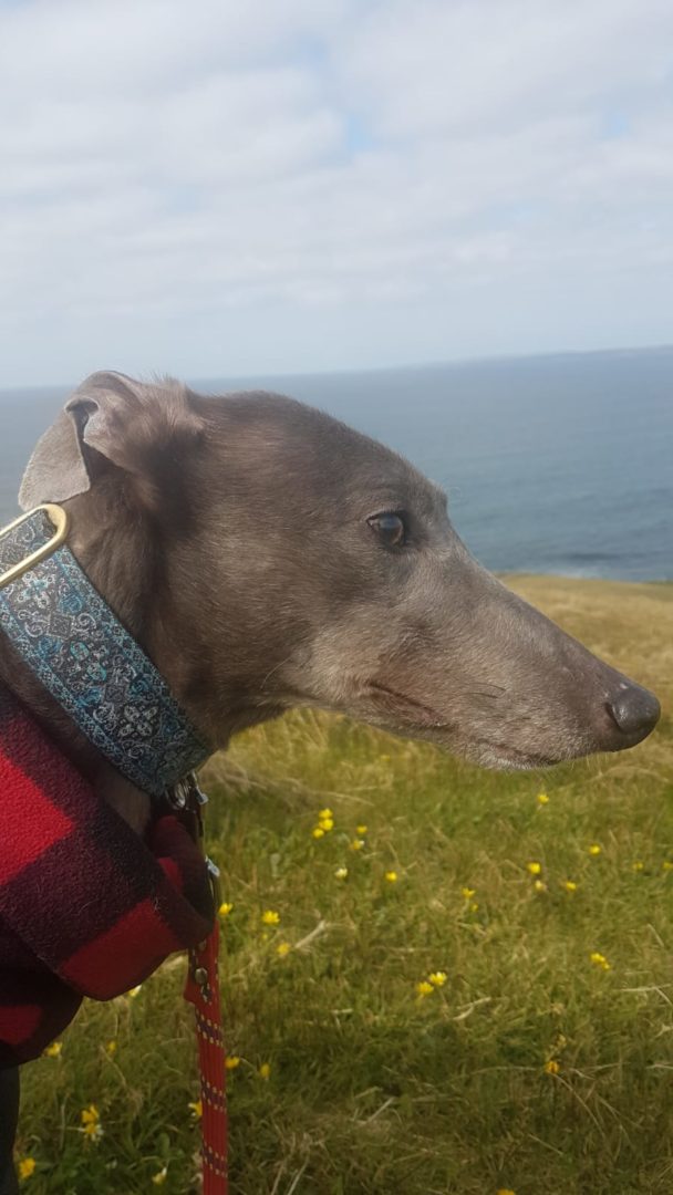 2019-05-18_Erin_Sophia0035